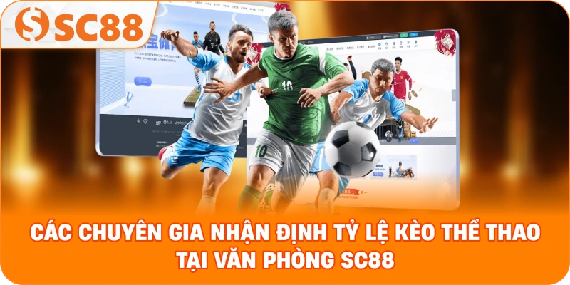 Các chuyên gia nhận định tỷ lệ kèo thể thao tại văn phòng SC88